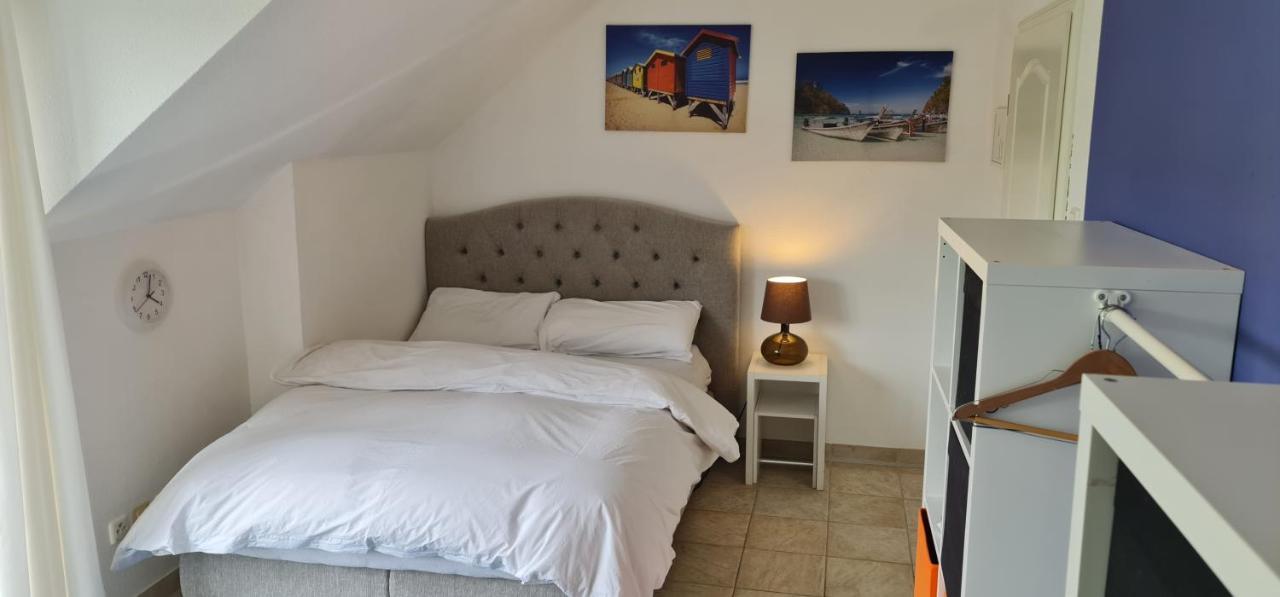Schoenste Lage Am Rhein In Unmittelbarer Stadtnaehe, B & B Köln Exterior foto