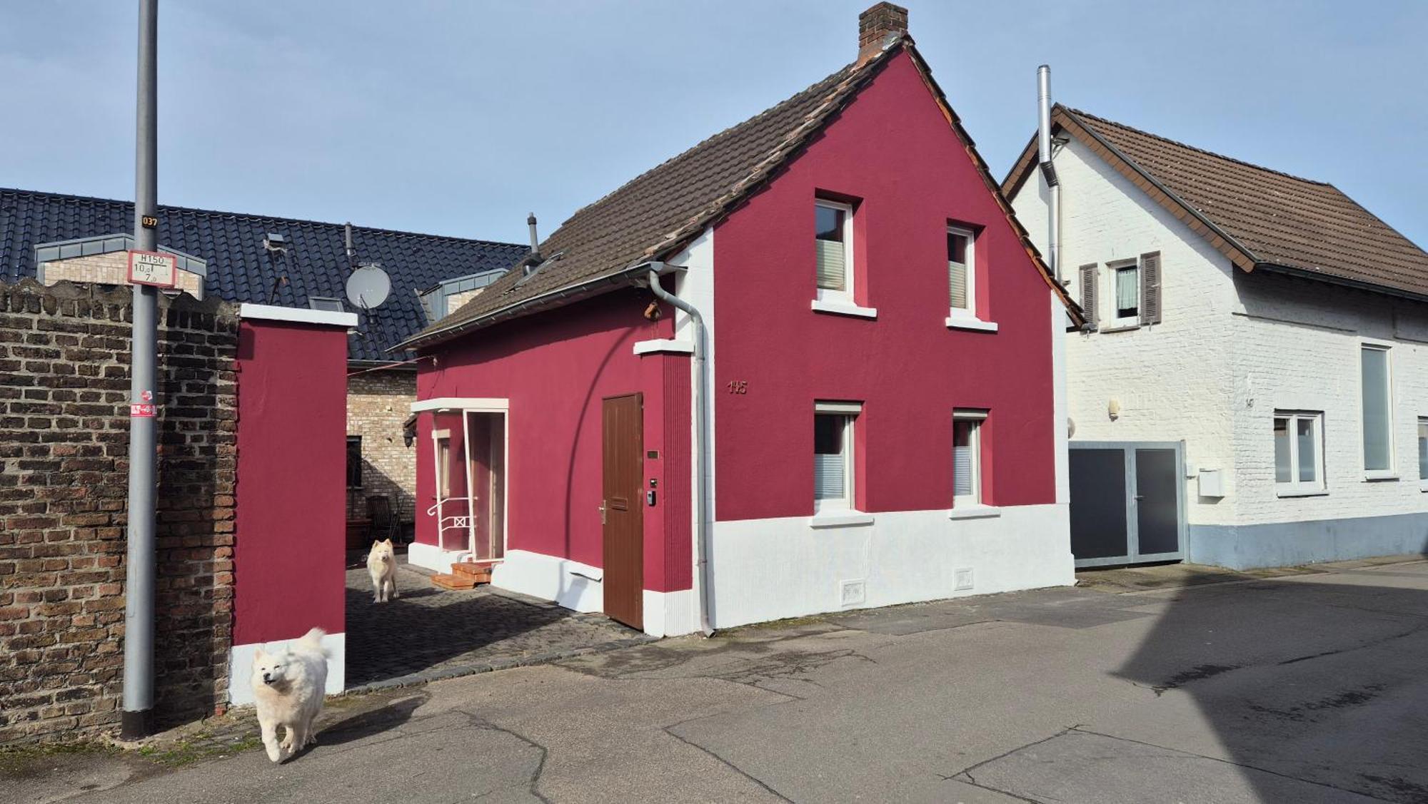 Schoenste Lage Am Rhein In Unmittelbarer Stadtnaehe, B & B Köln Cameră foto